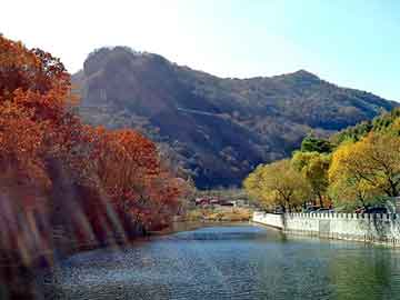 管家婆黑白马报图库，顺平桃花节